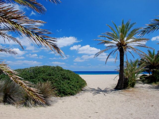 Riviera - Vai palm beach, Toplou by Jeep Safari