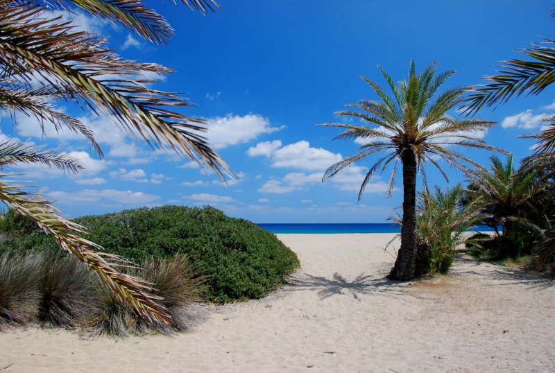 Riviera - Vai palm beach, Toplou by Jeep Safari